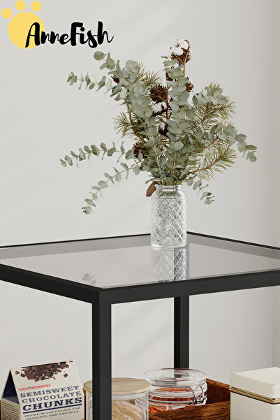 AnneFish 2 Tier Nightstand Coffee Table With Tempered Glass Tabletop Multifunctional Storage Table