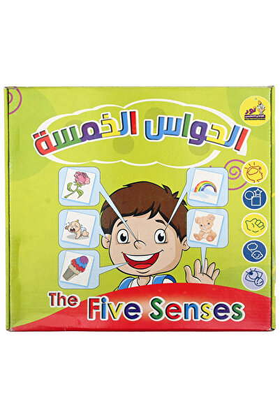 Educational الألعاب التعليمية - الحواس الخمسة