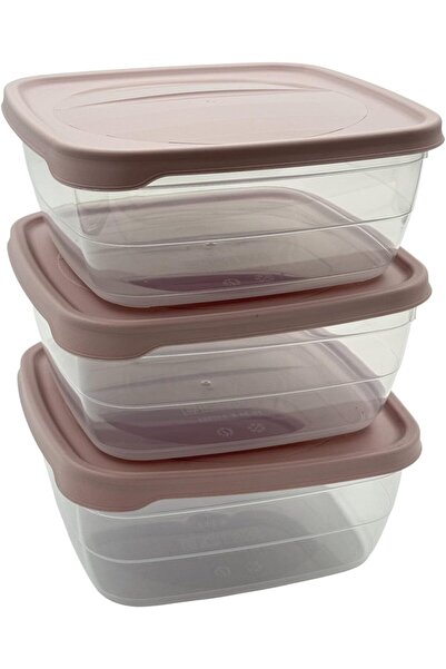 B&D Storage Box Set - Clear Containers with Brown Lids, 2.5 L, Pack of 3