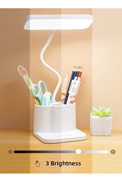 Generic Desk lamp with pen/ holder, rechargeable, adjustable lamp arm, three color temperatures