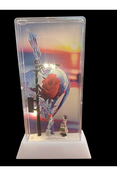 Belkis sokak lambası sulu sevgiliye hediyelik öğretmenler günü 16x8