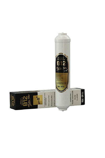 Universal 2" B12 ALKALİN FİLTRE SU ARITMA pH8+