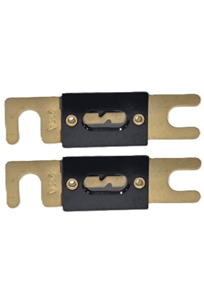 INTENSIV Set of 2 fuses 100A for 530/630