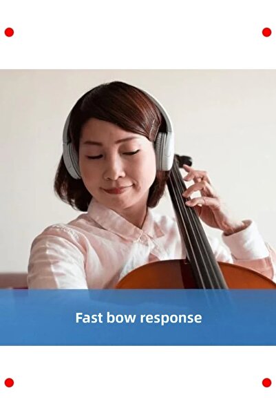 markentegra مجموعة أوتار الكمان الاحترافية - نواة فولاذية