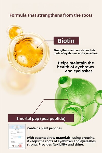 DR BANGGIWON Nourishing Serum for Eyebrows and Eyelashes, 2X15 ml Large Capacity (2 Boxes Included) from South Korea