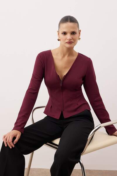 Trendyol Collection Plum Soft Touch V-Neck Zippered Regular/Regular Cut Knitted Blouse Twoaw26Bz00180