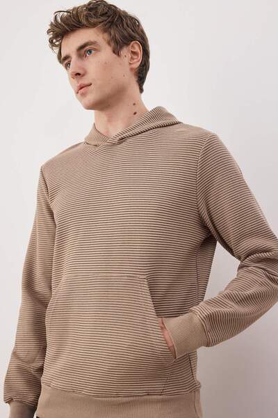 Trendyol Collection Stone Regular/Normal Cut Hooded Textured Sweatshirt Tmnaw26Sw00068