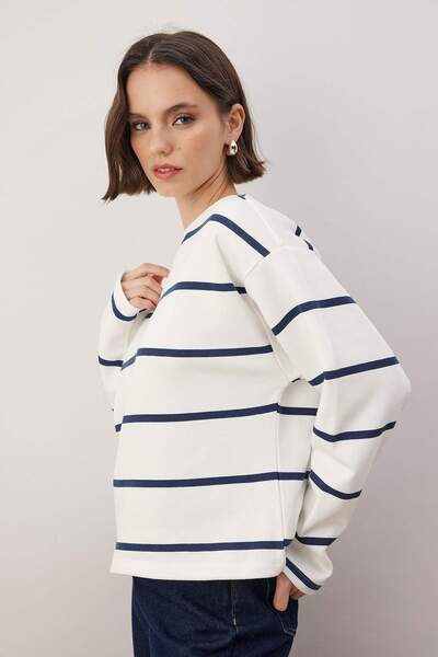 Trendyol Collection Екрю Смугастий Регулярний/Нормальний Крій Велосипедний Воротник В'язаний Світшот TWOAW26SW00255