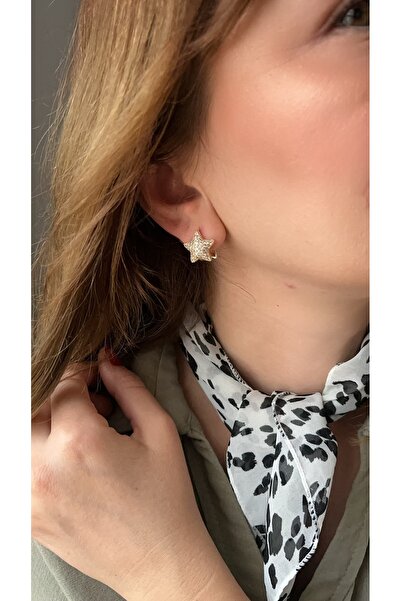 LUXURY Full Zirkon taş yıldız 14k rengi küpe