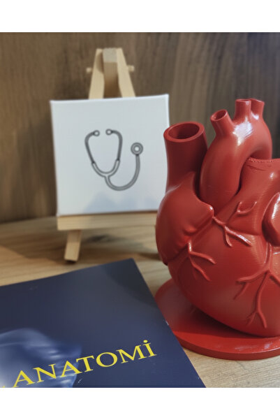 Anatomik Kabartmalı Kalp Figür