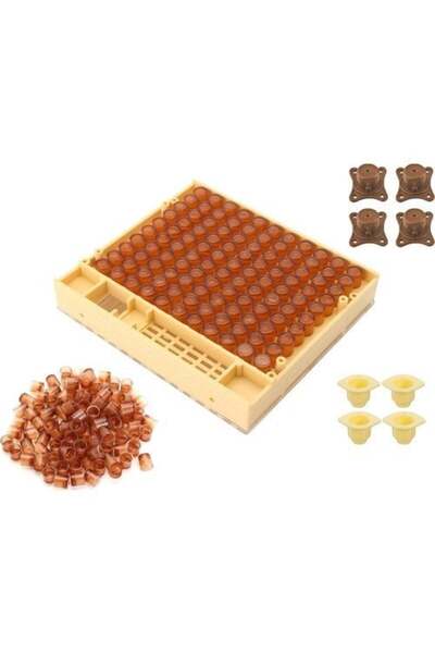 hobs Ana Arı Üretim Seti Jenter 100