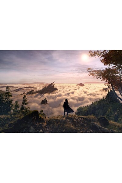 OEM Poster Forspoken, 61x90cm, poster756, Zumzeria