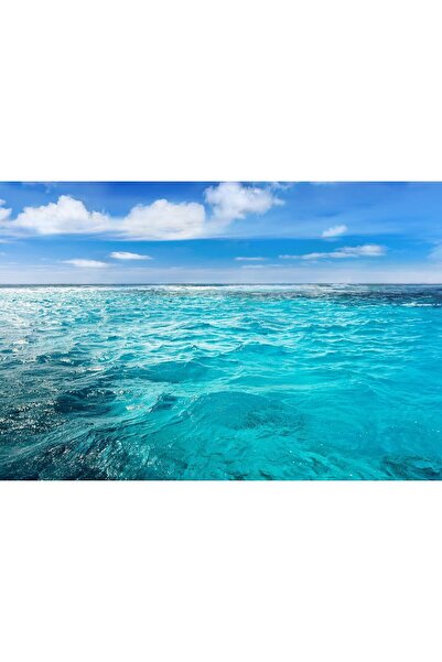 Zumzeria Πίνακας σε καμβά Ζωντανά καθαρά νερά, 80x50εκ., καμβάς99,