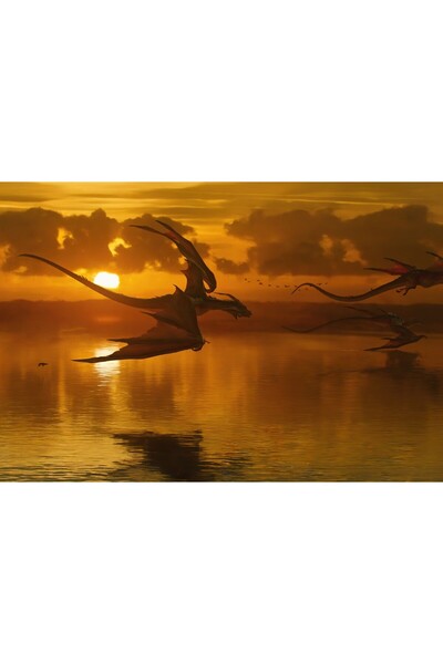 OEM Poster Originile Dragonului, 61x90cm, poster2720, Zumzeria