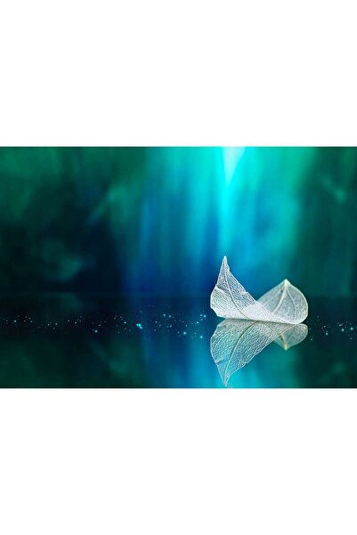 Zumzeria Tablou Canvas Perfect Capture Of A Floating Leaf, 80x50cm, tabloucan...