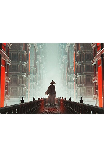 OEM Poster Samurai Kasa Hat, 61x90cm, poster2420, Zumzeria