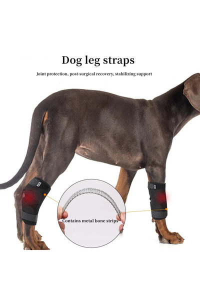 Choice5 L Upgrade (single) Updated Protects Bandage Dog Arthritis Protector C...