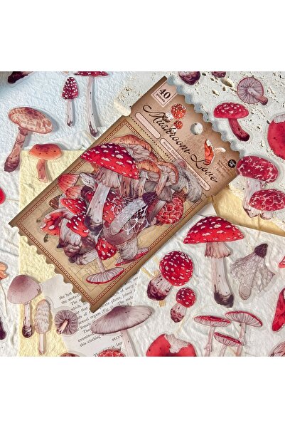 Choice1 مجموعة ملصقات مكونة من 40 ورقة على شكل أوراق الخريف والفطر، مستلزمات ...