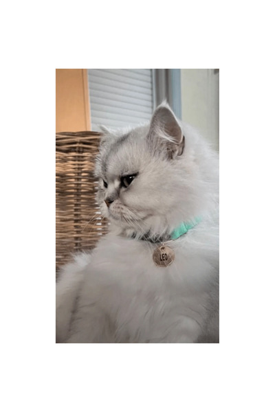 GoPawGo Charmlı Shelby Kedi Boyun Tasma Seti