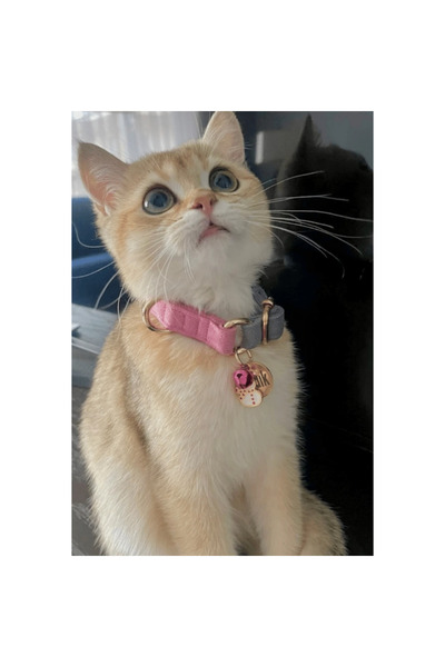 GoPawGo Supreme Kedi Boyun Tasma Seti