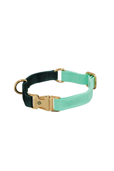 GoPawGo Charmlı Shelby Kedi Boyun Tasma Seti