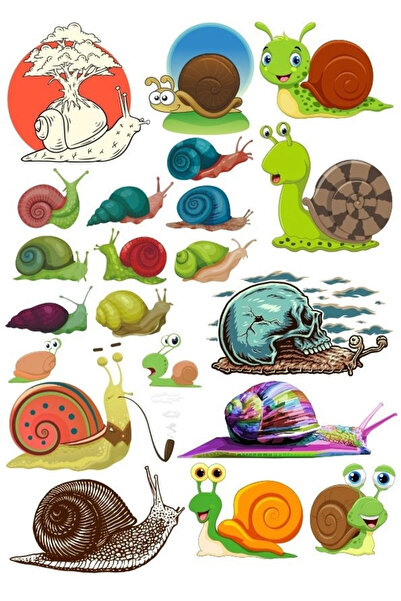 Reysa Tasarım مجموعة ملصقات الحلزون 5 20 قطعة للهاتف والكمبيوتر اللوحي والكمب...