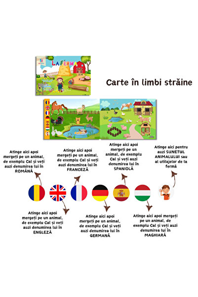 minibooks 11 Cărți interactive cu sunete din a treia generație