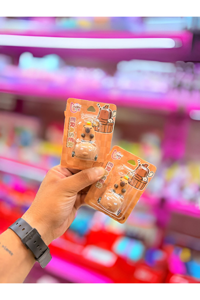 hamiyetkirtasiye Capybara Araba Süren Silgi Havuç Taşıyor