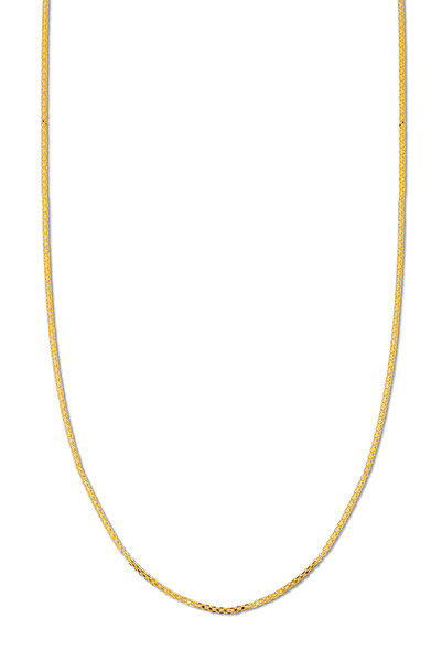 Altınkesesi 14 Ayar Altın İnce Bismark Parlak Kolye