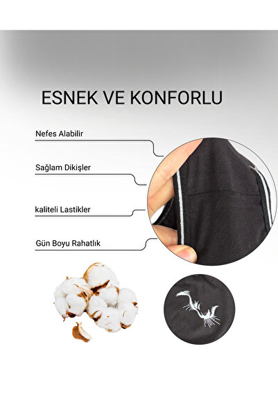 ALYA UNDERWEAR Kadın Pamuklu Külot, Kedi Baskılı - Bato Kalıp - 5 Adet Siyah