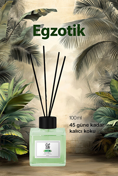 ROSIE Egzotik Çubuklu Oda Kokusu Reed Diffuser 100 ml