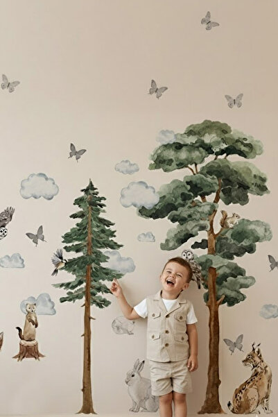 Kt Grup Safari Dünyası Vahşi Yaşam Kuzey Amerika Hayvanları Duvar Sticker