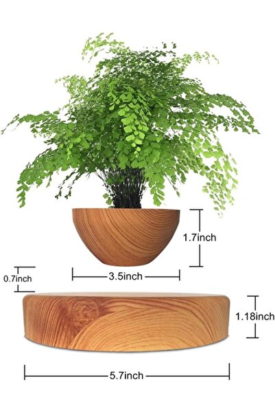 Generic Magnetic Floating Plant Pot with Wooden Base