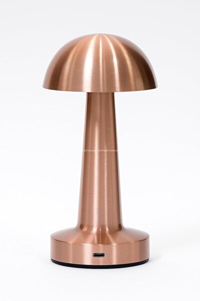 Hype Store Mantar Şekilli Masa Lambası 3 Fonksiyonlu Şarjlı Led Aydınlatma Do...