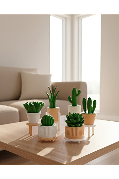 Bayan Rottenmeier 6'lı Yapay Kaktüs Set (18 Parça) - Yapay Çiçek - Yapay Bitki