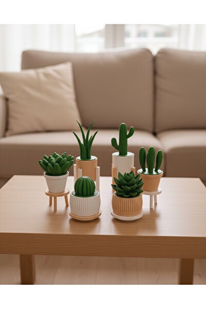 Bayan Rottenmeier 6'lı Yapay Kaktüs Set (18 Parça) - Yapay Çiçek - Yapay Bitki