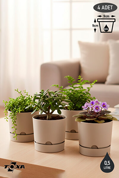 ToXA 4 Adet 0.5 Litre Bej Begonya Saksı Küçük Boy Tabaklı Dekoratif Mat Plast...