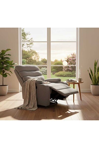 NZONE STORE Fixed recliner chair with elegant and comfortable design