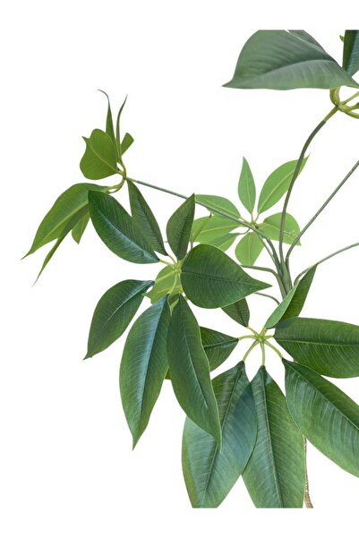 Casco Elegant Artificial Schefflera Tree in Grey Pot 220cm