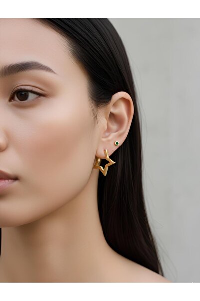 Bontexs Kadın Gold Renk Yıldız Çelik Küpe