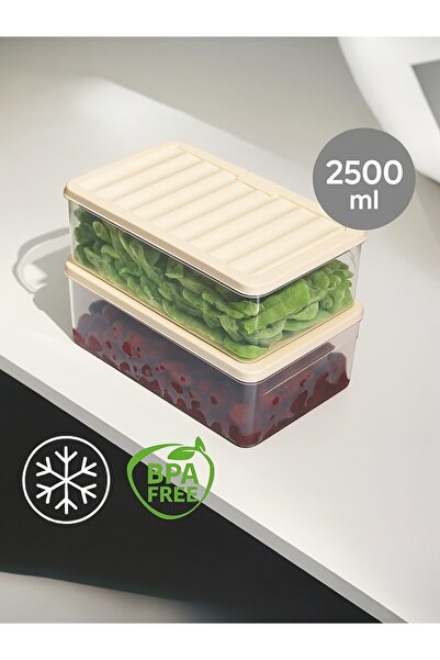 Nesto Home 2500 ml Deep Refrigerator - Set of 2 Organizer, Freezer and Microwave Storage Container 2X2500