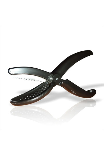 orak Chestnut Scriber