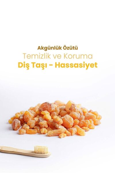 Probident Aktif Probiyotikli Doğal Florürsüz Akgünlük Özüt Ilaveli 3'lü Paket Diş Ve Diş Eti Sağlığı