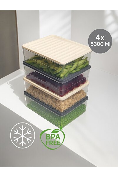 Nesto Home Colorful Set of 4 - Deep 5300 ml Refrigerator, Organizer Freezer and Microwave Storage Container