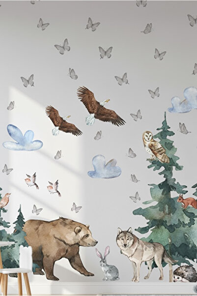 Kt Grup Safari Dünyası Vahşi Yaşam Kuzey Amerika Hayvanları Duvar Sticker