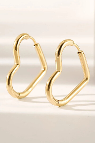 Leo'Stone Premium Seri Kalp Şeklinde Halka Tasarım Kararmaz Kadın Çelik Küpe