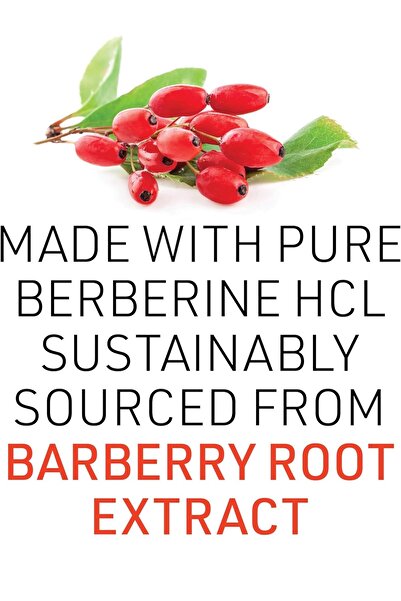 Natural Factors Wellbutex Berberine 500 mg Supports Metabolic and Cardiovascular Health and Blood Sugar Control 60 Capsules