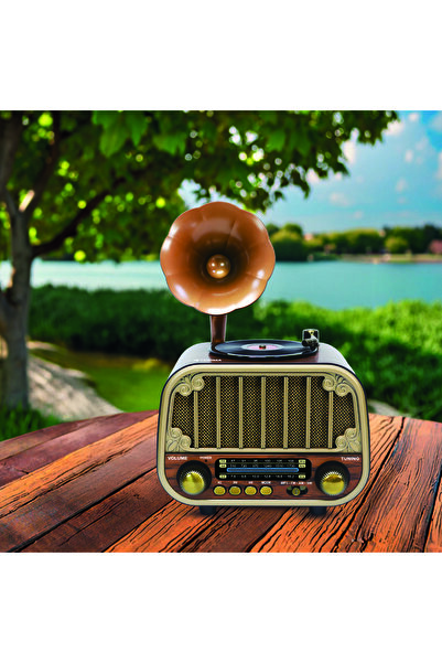 Torima D76 Light Wood Wireless Speaker