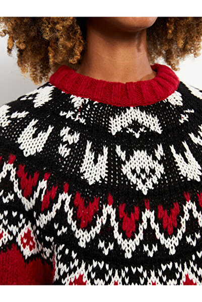 LC Waikiki Crew Neck Patterned Long Sleeve Women's Knitwear Sweater