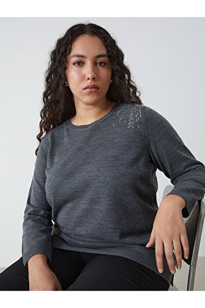 LC Waikiki Crew Neck Shiny Stone Women's Knitwear Sweater